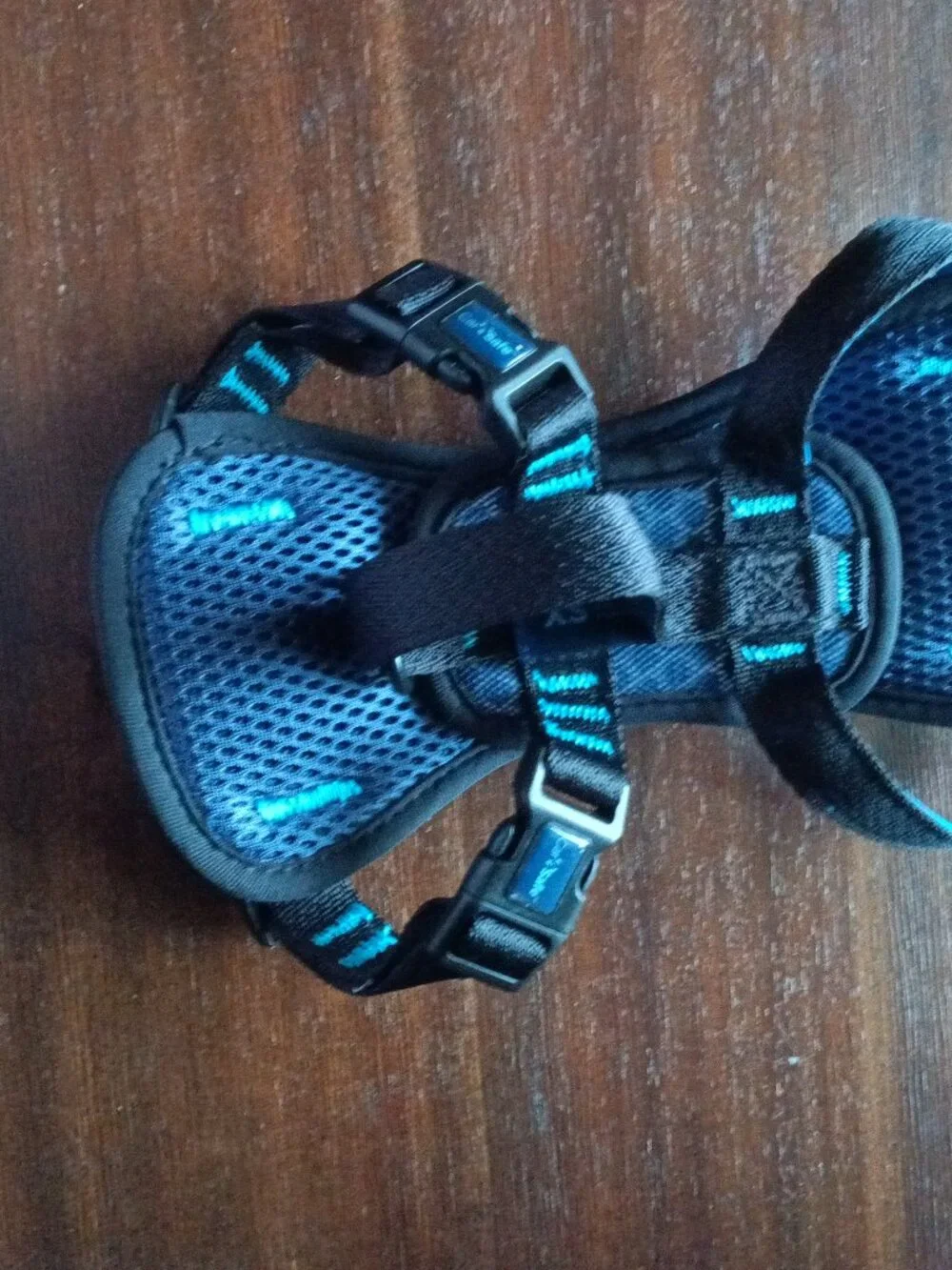 NWOT CarSafe Crash Tested Back Clip Dog Harness, Blue, X-Small
